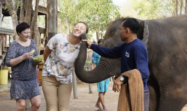 Fil antrenör gözetiminde bir kız öpücük