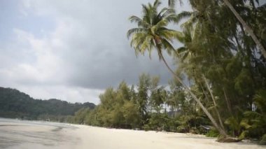 Kut, Tayland-Şubat 25,2018 ko: Hindistan cevizi avuç içi cennet coconut Island üzerinde