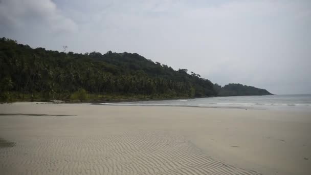 Kut Tailandia Febrero 2018 Palmeras Coco Paradisíaca Isla Coco — Vídeo de stock