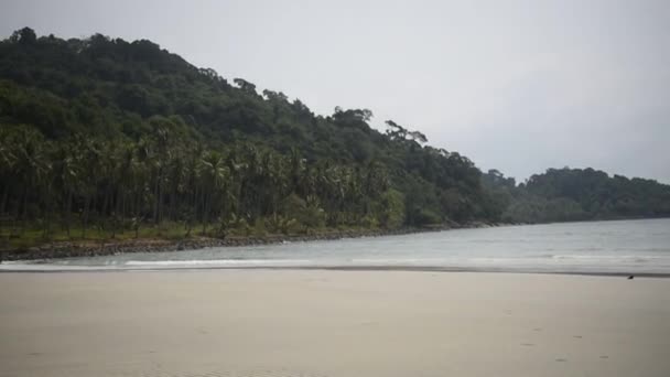 Kut Thaïlande Février 2018 Cocotiers Sur Île Paradisiaque Noix Coco — Video