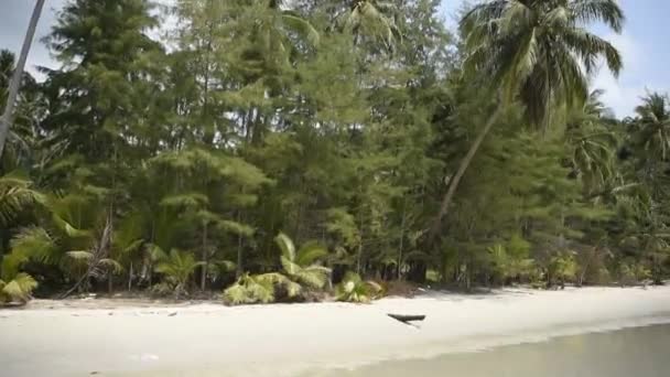 Kut Thaïlande Février 2018 Cocotiers Sur Île Paradisiaque Noix Coco — Video