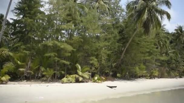 Ko Kut, Thaïlande - 25 février 2018 : cocotiers sur l'île paradisiaque de la noix de coco 
