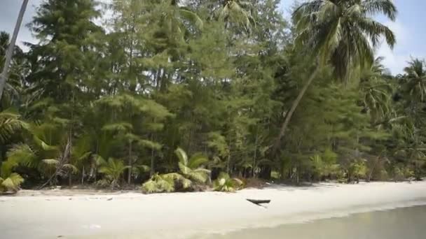 Kut Thailand Februar 2018 Kokospalmen Auf Der Paradiesischen Kokosnussinsel — Stockvideo