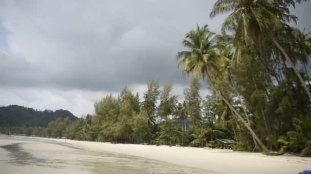 Kut Thailand Februar 2018 Kokospalmen Auf Der Paradiesischen Kokosnussinsel — Stockvideo