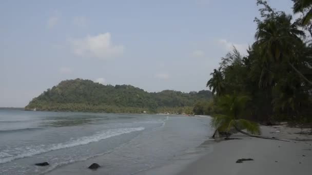 Kut Tailandia Febrero 2018 Palmeras Coco Paradisíaca Isla Coco — Vídeo de stock