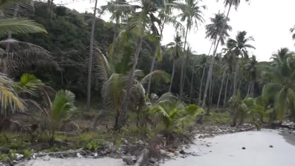 Ko Kut, Thaïlande - 25 février 2018 : cocotiers sur l'île de noix de coco 