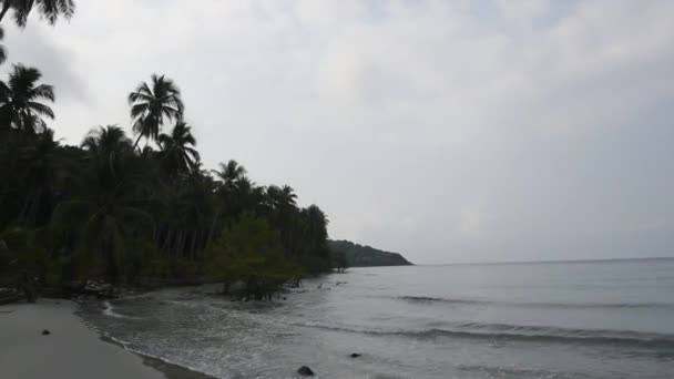 Ko Kut, Thaïlande - 25 février 2018 : cocotiers sur l'île de noix de coco 