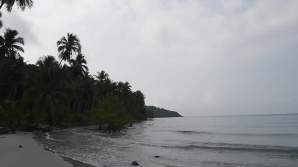 Kut Tayland Şubat 2018 Hindistan Cevizi Avuç Içi Coconut Island — Stok video