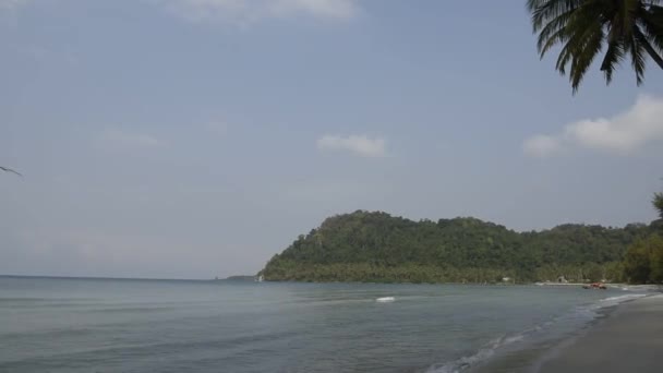 Kut Tailandia Febrero 2018 Palmeras Coco Paradisíaca Isla Coco — Vídeo de stock