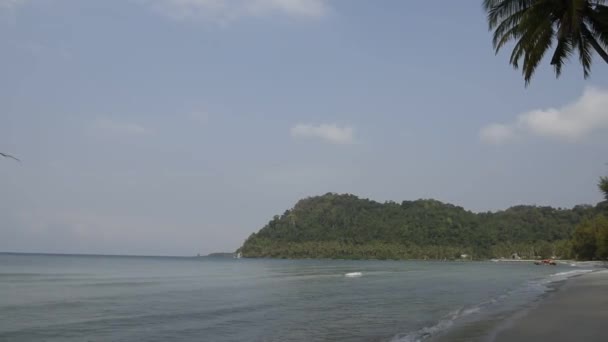 Kut Thailand Februar 2018 Kokospalmen Auf Der Paradiesischen Kokosnussinsel — Stockvideo