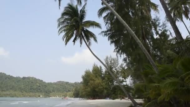 Kut Tailandia Febrero 2018 Palmeras Coco Paradisíaca Isla Coco — Vídeo de stock