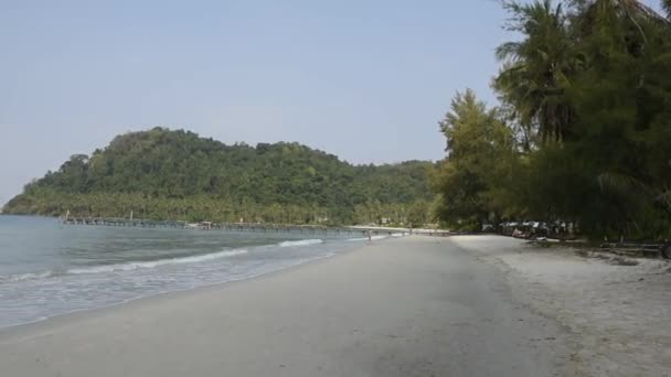 Kut Tailandia Febrero 2018 Palmeras Coco Paradisíaca Isla Coco — Vídeo de stock