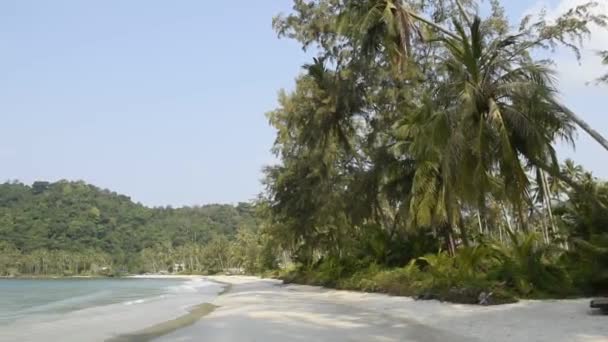 Ko Kut, Thaïlande - 25 février 2018 : cocotiers sur l'île de noix de coco 