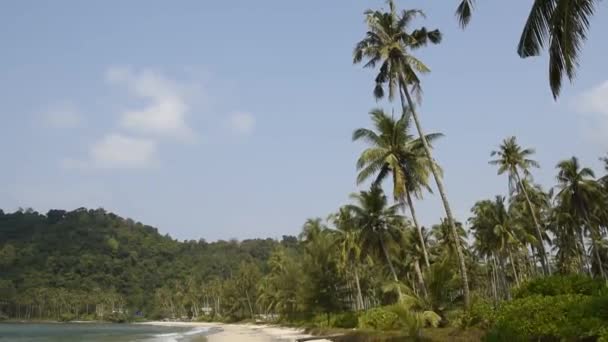 Ko Kut, Thaïlande - 25 février 2018 : cocotiers sur l'île de noix de coco 