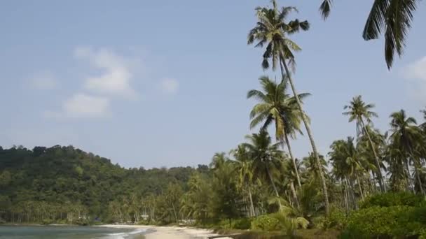 Kut Tayland Şubat 2018 Hindistan Cevizi Avuç Içi Coconut Island — Stok video