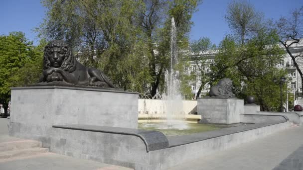 Rostov Don Russia April 2018 Fountain Lions Sokolov Avenue — Stock Video