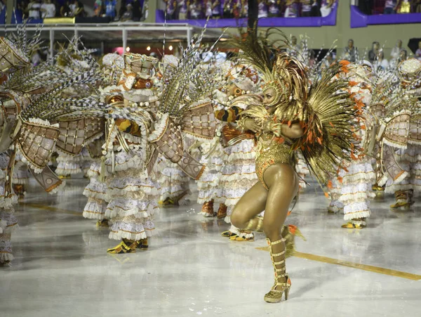 Rio Janeiro Brasil February 2020 Samba Parade 2020 Carnival Champions — Zdjęcie stockowe