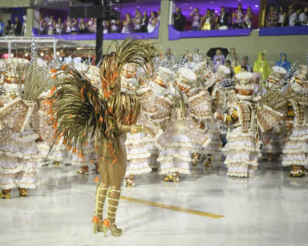 Rio Janeiro Brasil February 2020 Samba Parade 2020 Carnival Champions — Stock Fotó