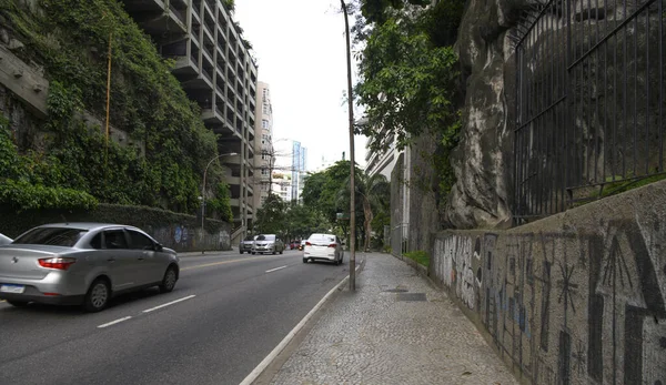 Río Janeiro Brasil Febrero 2020 Laguna Rodrigo Freitas Avenida Henrique — Foto de Stock