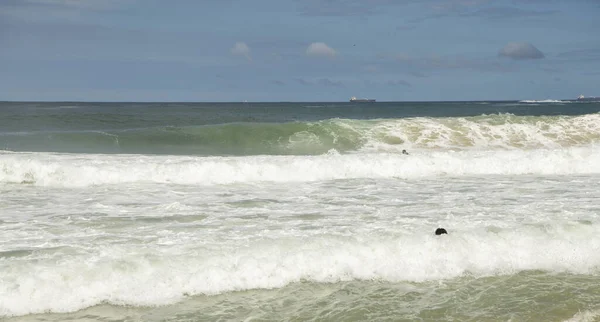 Rio Janeiro Brasil February 2020 Citizens Swim Copacabana — 스톡 사진