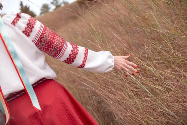 リボンによって区別することができます フィールドでぶらつきながら草をなでる伝統的な衣装に身を包んだウクライナの女の子 — ストック写真