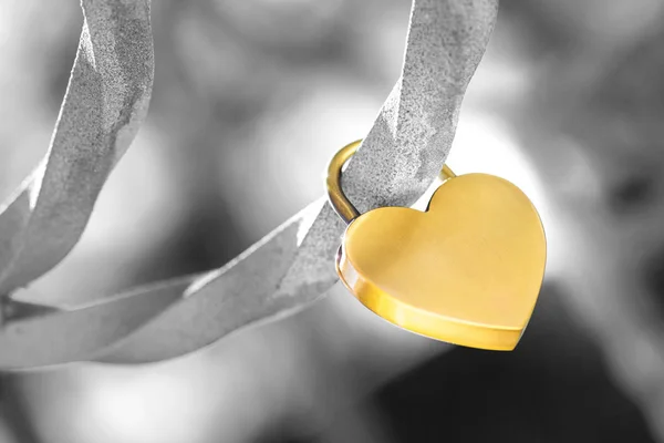 Metallic Heart Shaped Love Padlock Isolated Black White Background Clipping — Stock Photo, Image