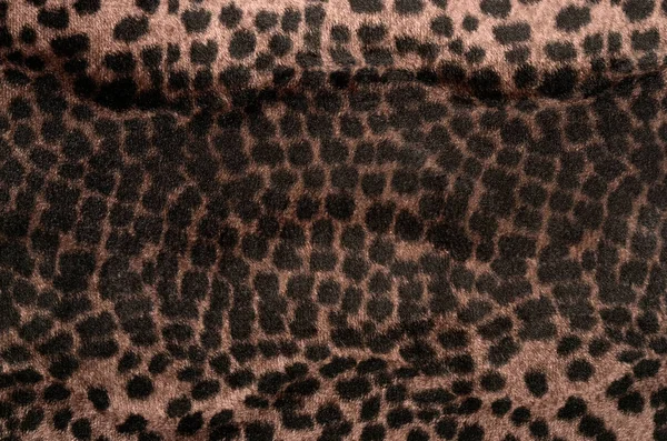 Brown and black leopard pattern. — Stock Photo, Image