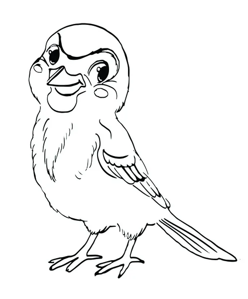 Sparrow, burung, karakter. Sketsa vektor untuk buku pewarnaan  . Stok Vektor