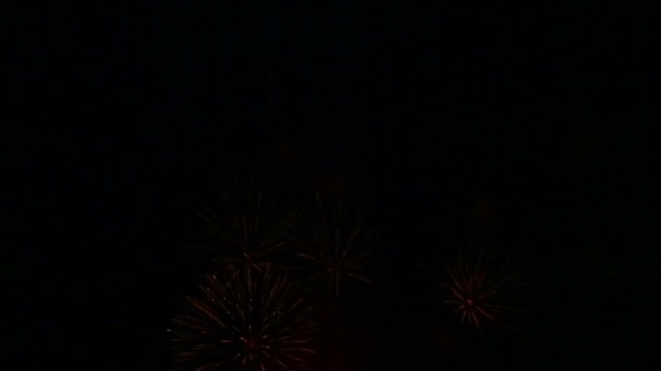 Scintillanti scintille di fuochi d'artificio festosi nel cielo notturno sopra il fiume che si riflettono nell'acqua — Video Stock