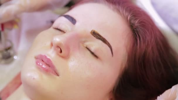 Die Kosmetikerin malt die Kundin mit einem speziellen Pinsel mit einer Augenbraue — Stockvideo