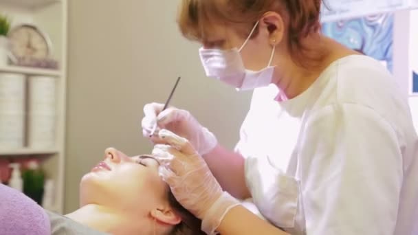 L'esthéticienne peint le client avec un sourcil avec une brosse spéciale — Video