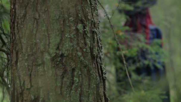 Giovane strega con i capelli rossi e un cappello nero e mantello evoca con candele nella foresta — Video Stock