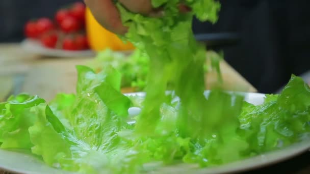 La mano femenina pone la ensalada picada en un plato blanco . — Vídeo de stock