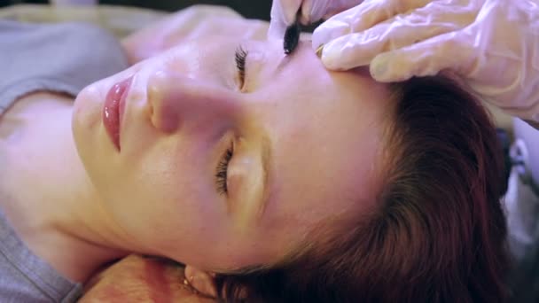 Косметолог расчесывает брови клиента специальной кистью — стоковое видео