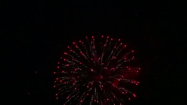 Vuurballen feestelijk vuurwerk in de nachtelijke hemel boven de rivier. Tijdsverloop — Stockvideo