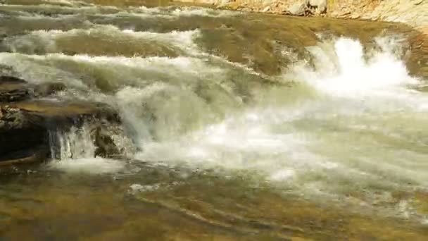 Le cours rapide d'une rivière de montagne bouillonnante — Video