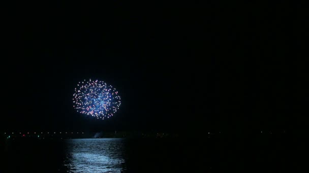 Artificii festive colorate pe cerul nopții deasupra râului reflectând în apă — Videoclip de stoc