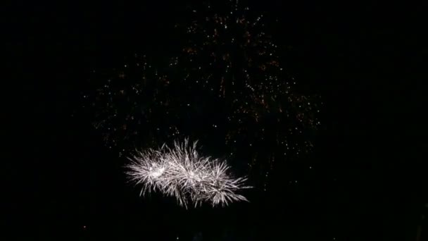 Vurige verstrooiing van feestelijk vuurwerk in de nachtelijke hemel boven de rivier weerspiegeld in het water — Stockvideo