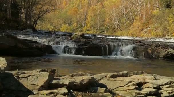 Lage watervallen en een bergrivier met een beekje tegen de achtergrond van de herfstbergen — Stockvideo