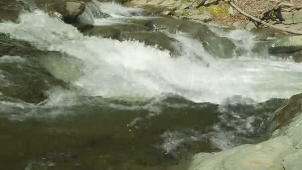 Le cours rapide de la rivière de montagne et des rapides — Video