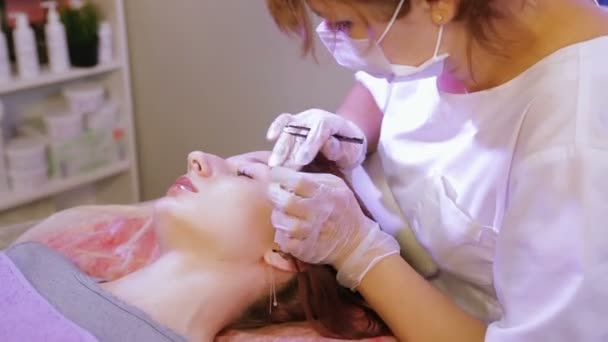 美容師はピンセットでクライアントの眉毛を摘み、修正します — ストック動画