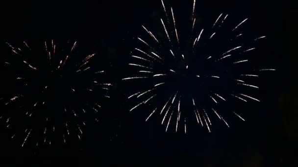 Fogos de artifício festivos brilhantes no céu noturno — Vídeo de Stock