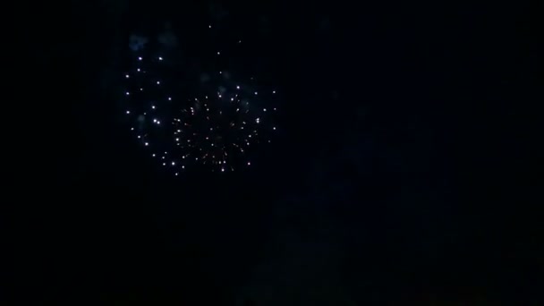 Éclairs de feu colorés de feux d'artifice festifs scintillants dans le ciel nocturne — Video