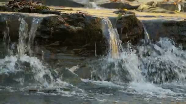 Il corso rapido del fiume di montagna e le rapide . — Video Stock