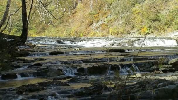 Rápidas corredeiras de montanha no outono nas montanhas . — Vídeo de Stock