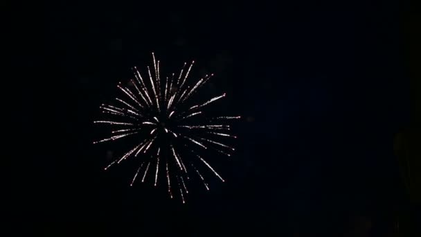 밤하늘에서 불꽃 축제 경례가 열림 — 비디오