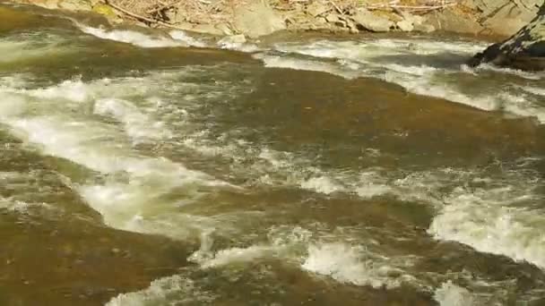El curso rápido de un río de montaña hirviente — Vídeo de stock