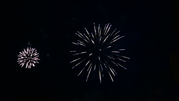 Brillanti Lampi Scintillanti Fuochi Artificio Festivi Nel Cielo Notturno Primo — Video Stock