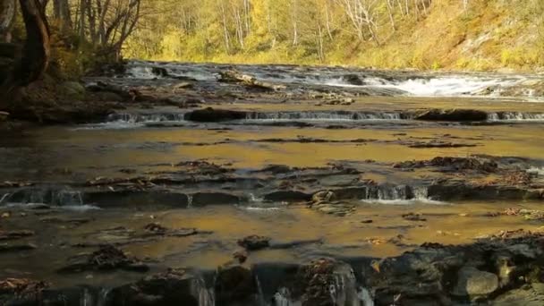 Rápidas corredeiras de montanha no outono nas montanhas . — Vídeo de Stock