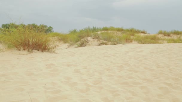 Dune plage de sable avec vue sur la mer bleue. Plan d'ensemble 